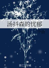 (论坛体)锤基 海森汤抖森的忧郁