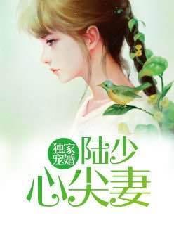 独家宠婚陆少心尖妻