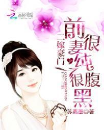 二嫁豪门：前妻很纯很腹黑