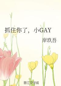 抓住你了,小GAY