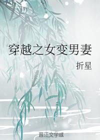 穿越之女变男妻