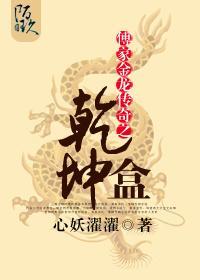 傅家金龙传奇之干坤盒