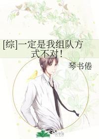 [综]一定是我组队方式不对！