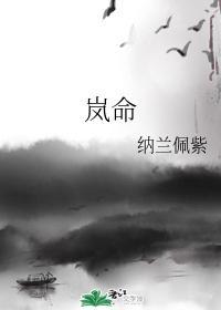 岚命
