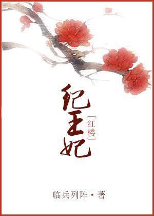 [红楼]纪王妃