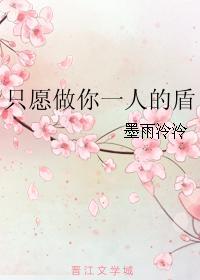 只愿做你一人的盾