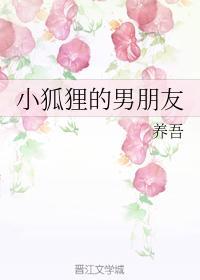 小狐貍的男朋友