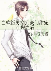 当软饭男穿到豪门甜宠小说之后