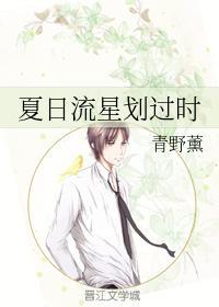 夏日流星划过时