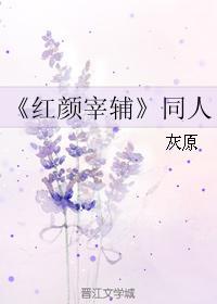红颜宰辅