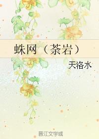 蛛网（荼岩）