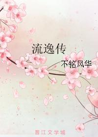 流逸传