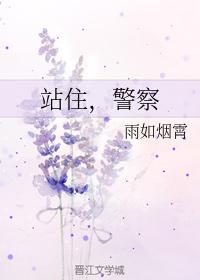 站住,警察