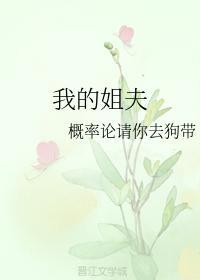 我的姐夫