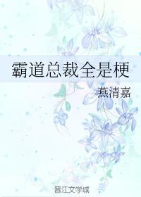 买椟者