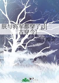 朕与将军都穿了gl[古穿今]