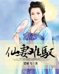 仙妻难驭