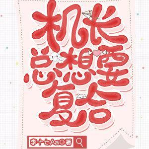 机长总想要覆合