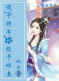 傻子将军的能干娇妻