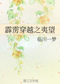霹雳穿越之夷望