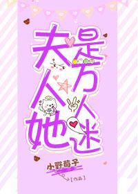 夫人她是万人迷