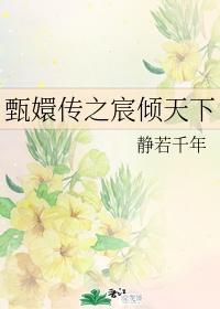 甄嬛传之宸倾天下