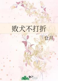 败犬不打折
