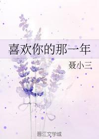 喜欢你的那一年