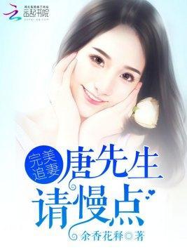 完美追妻:唐先生,请慢点
