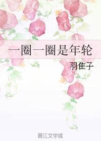 一圈一圈是年轮