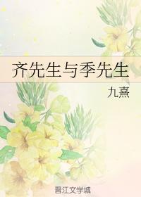 齐先生与季先生