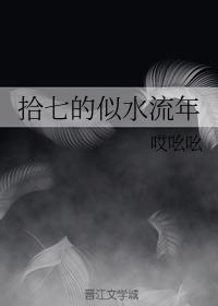 拾七的似水流年