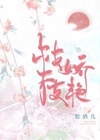 枝枝娇艷