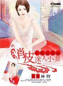专情总裁的俏皮迷人小妻