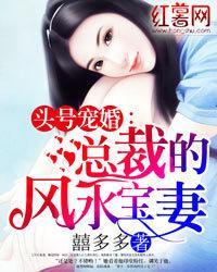 头号宠婚:总裁的风水宝妻