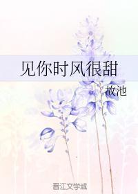 见你时风很甜