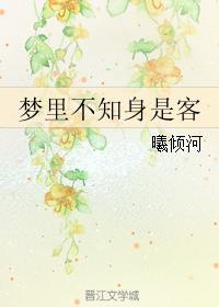 梦裏不知身是客