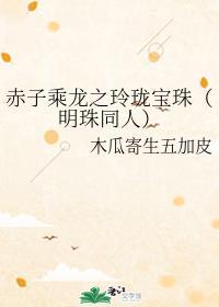 赤子乘龙之玲珑宝珠(明珠同人)
