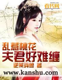 乱惹桃花:夫君好难缠