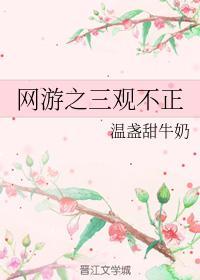 网游之三观不正