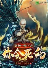 贫僧一拳你会死的!