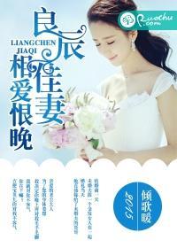 良辰佳妻,相爱恨晚
