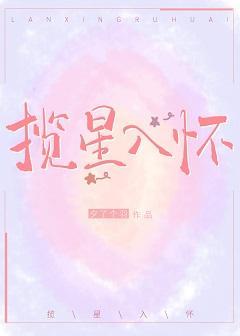 揽星入怀[娱乐圈]