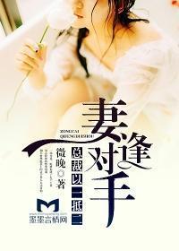 妻逢对手,总裁以一抵二