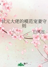 状元大佬的模范宠妻守则