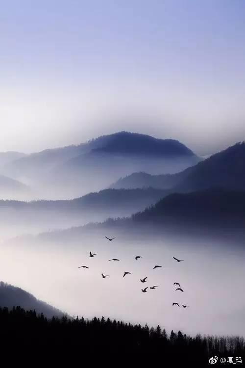 洛书·落花时