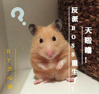 天啦噜！反派BOSS重生了！