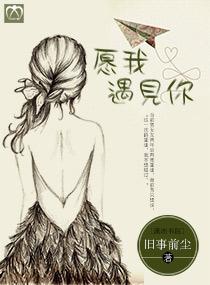 愿我遇见你