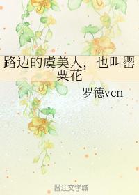 路边的虞美人,也叫罂粟花