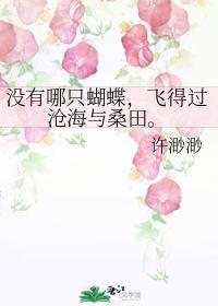 没有哪只蝴蝶,飞得过沧海与桑田。